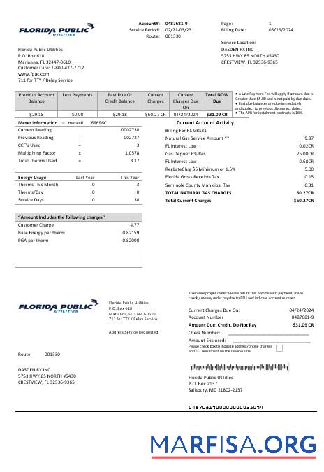 Blank USA Florida Public Utilities business utility bill template in Word and PDF formats